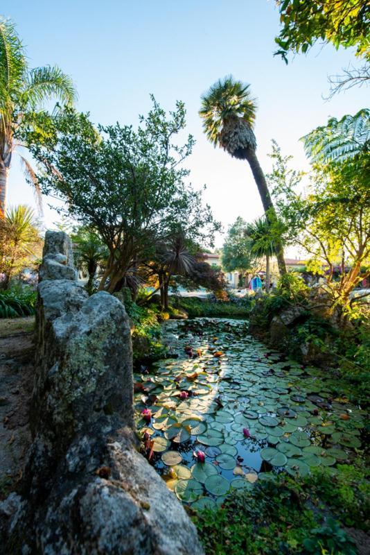 Quinta Da Malaposta - Boutique Hotel & Eventos Vila Nova de Cerveira Ngoại thất bức ảnh